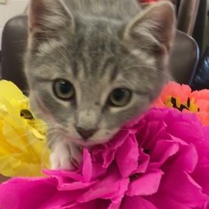 Meet your Posher, Ana